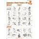 SELLOS DIDAC. ANIMALES Y FRUTAS YUMBO X 30