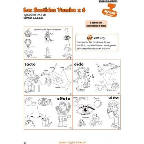 SELLOS DIDAC. LOS SENTIDOS x 6 YUMBO
