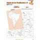 SELLOS DIDAC. MAPAS DE LOS CONTINENTES X 8