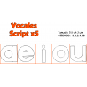SELLOS DIDAC. VOCALES SCRIPT X 5